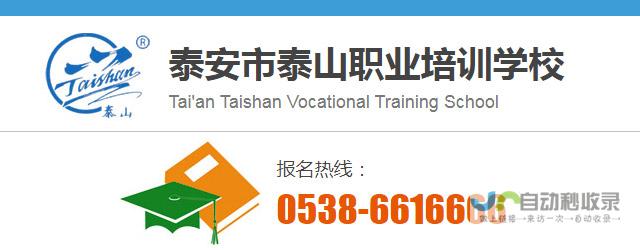 泰安专业网站建设公司：定制化方案，提升线上曝光，助力您在竞争激烈的市场脱颖而出